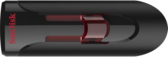 SanDisk 256GB (10 Pack) Cruzer Glide USB 3.0 Flash Drive SDCZ600-256G Bundle with (1) GoRAM Black Lanyard (256GB, 10 Pack)