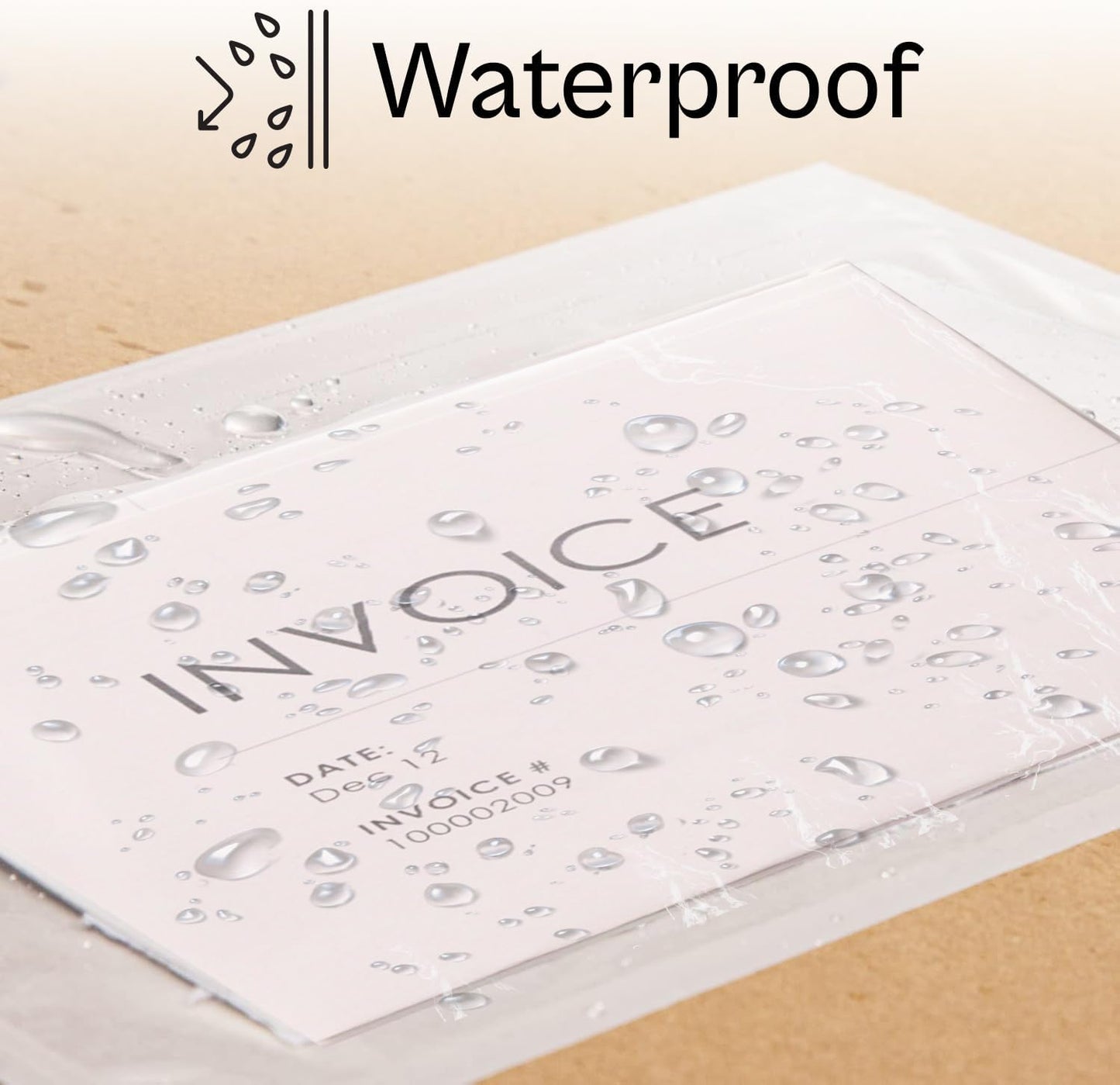 (500) 10" x 12" Clear Packing List Envelope Back Load Plain Face