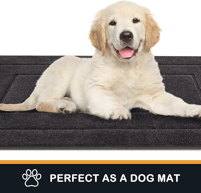 PURRUGS Dirt Trapping Door Mat 32" x 47", Non-Slip/Skid Machine Washable Entryway Rug, Dog Doormat, Super Absorbent Welcome Mat for Muddy Wet Shoes and Paws, Charcoal