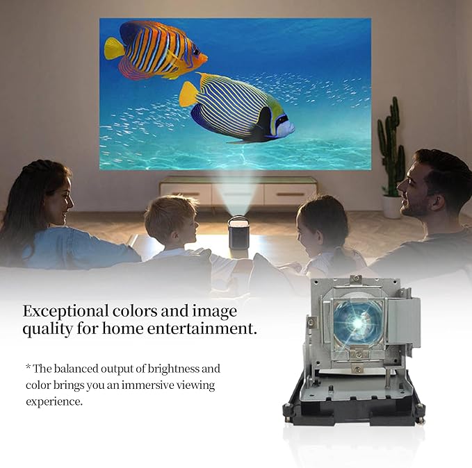 BL-FU310B / 5811118436-SOT Replacement Projector Lamp Bulb Compatible with OPTOMA DH1014 DH1017 EH500 X600 Projectors, with Housing