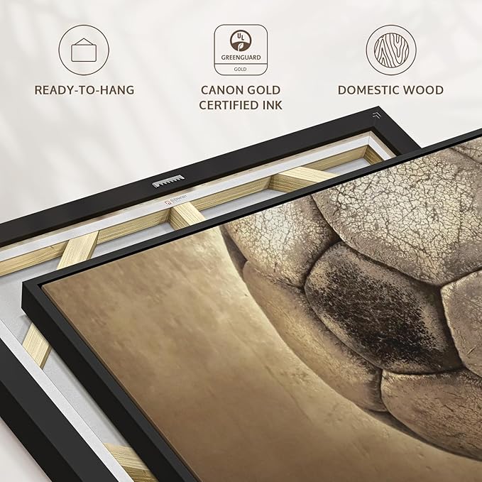 Elephant Stock Worn Soccer Ball Wall Art - Horizontal Framed Canvas - 1-Piece Living Room Wall Decor - Photography sports Canvas Print - Brown and Gray Decor for Wall - 40" X 27"