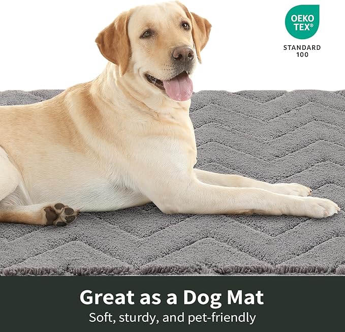 Stiio Front Door Mat Indoor Outdoor Entrance 20x31.5 Inches, Non Slip Washable Entry Rug, Dog Doormat, Absorbent Entrance Mat for Front & Back Door, Muddy Wet Shoes & Paws, Grey