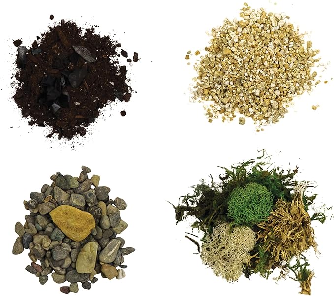 Cute Farms Terrarium Starter Kit | Moss, Vermiculite, Soil, Pebbles, Plant Food, Finishing Tools, Build and Care Guide | DIY Succulent Terrarium for Adults and Kids (Large + Live Plants)