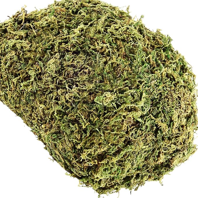 35 OZ Fake Moss for Potted Plants Artificial Moss for Fake Plants Faux Moss for Planters Decorative Moss for Craft and Home Decor…