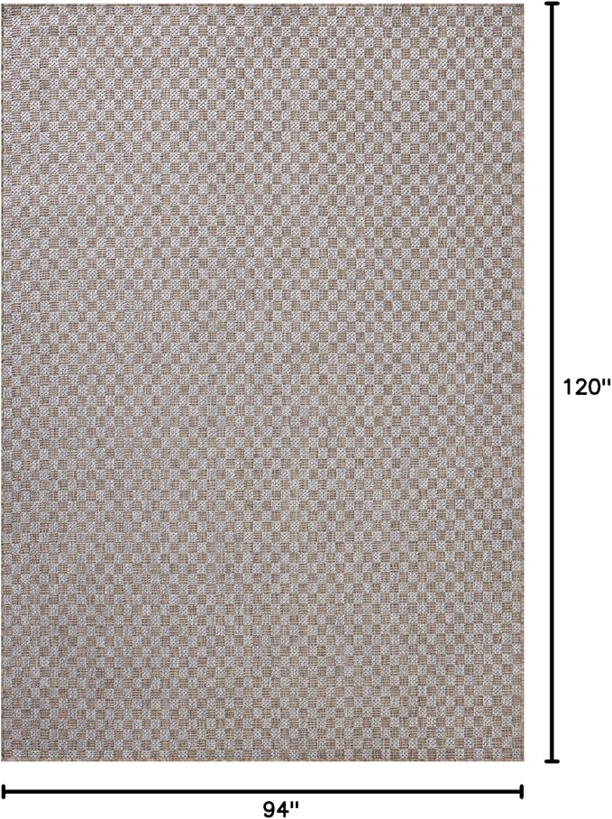 Loloi Amber Lewis Topanga Collection TOP-02 Natural/Silver 7'-10" x 10' Indoor/Outdoor Area Rug